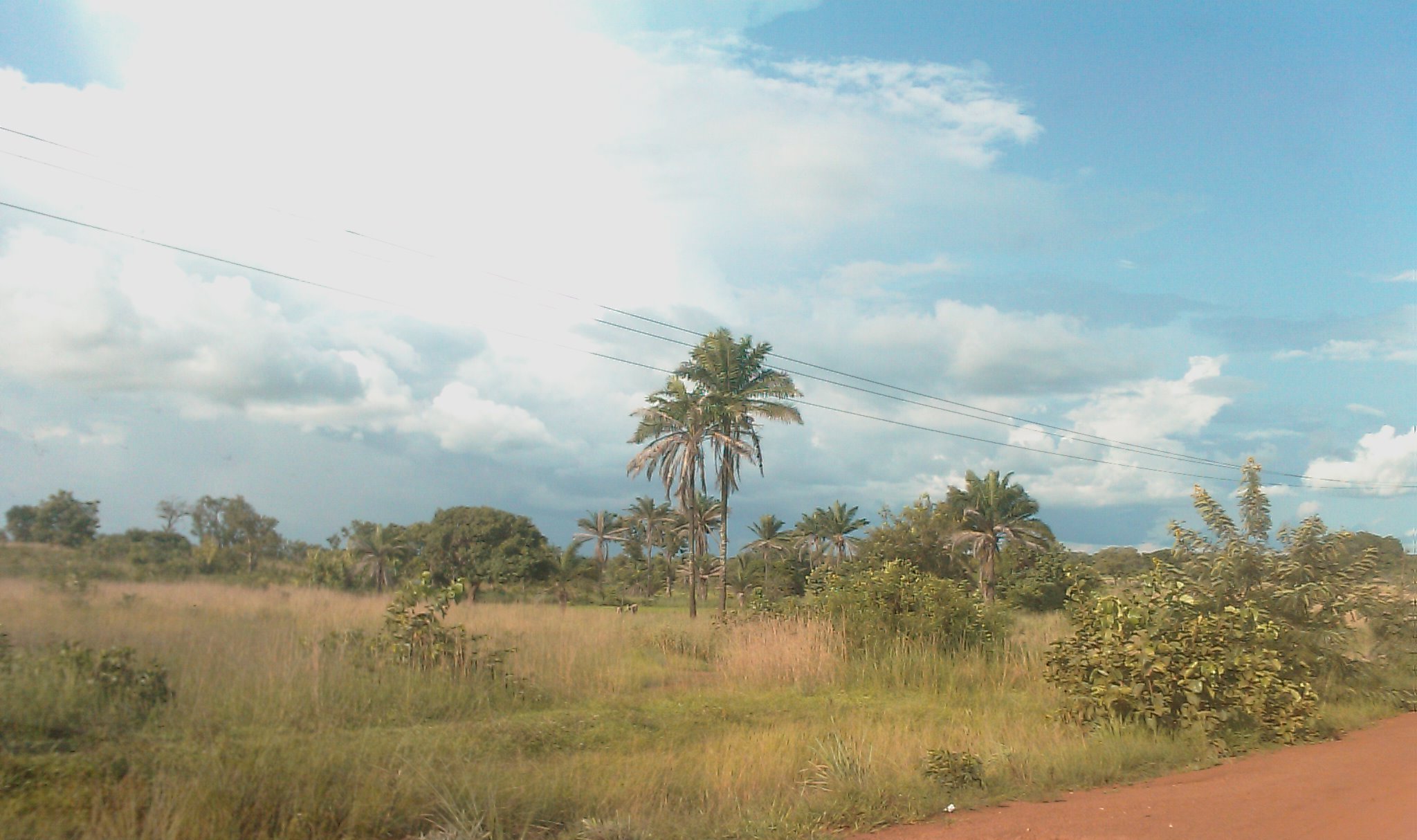 route de Djougou à Ouaké